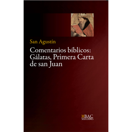 Comentarios bíblicos - S. Agustín
